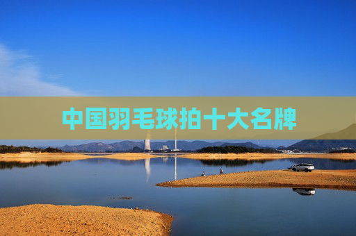 中国羽毛球拍十大名牌