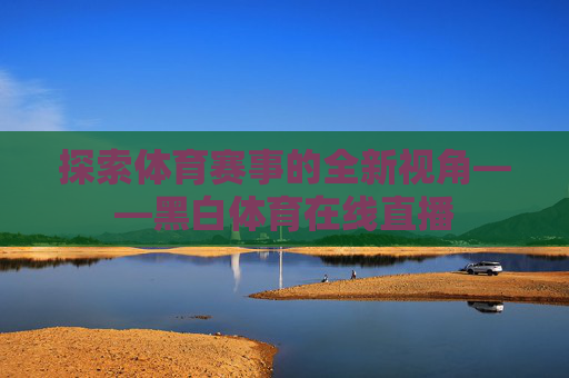 探索体育赛事的全新视角——黑白体育在线直播