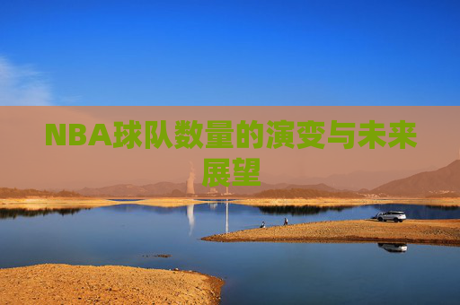 NBA球队数量的演变与未来展望