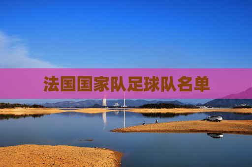 法国国家队足球队名单