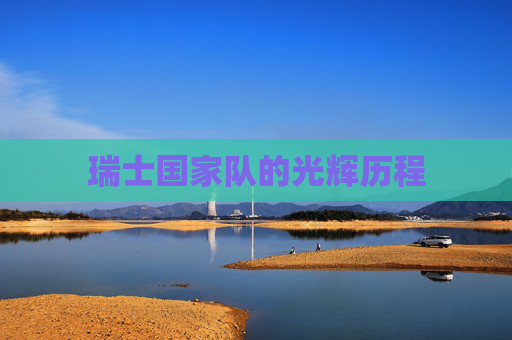 瑞士国家队的光辉历程