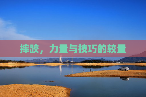 摔跤，力量与技巧的较量
