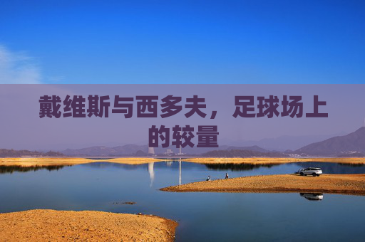 戴维斯与西多夫，足球场上的较量