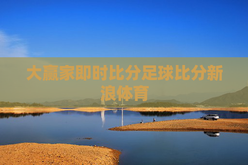 大赢家即时比分足球比分新浪体育