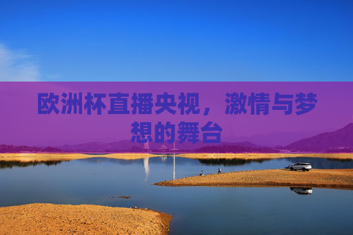 欧洲杯直播央视，激情与梦想的舞台