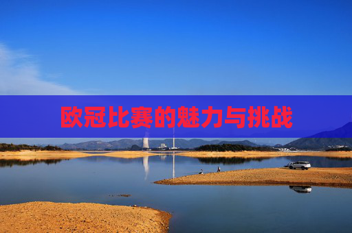 欧冠比赛的魅力与挑战