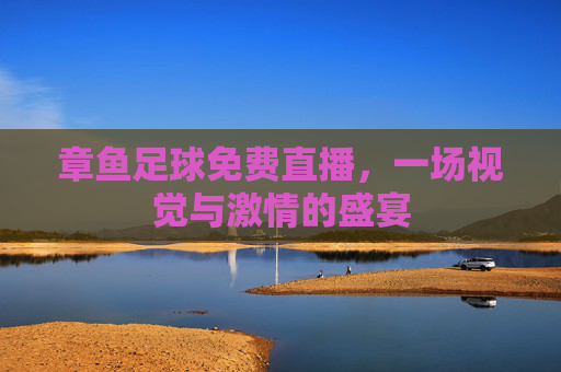 章鱼足球免费直播，一场视觉与激情的盛宴