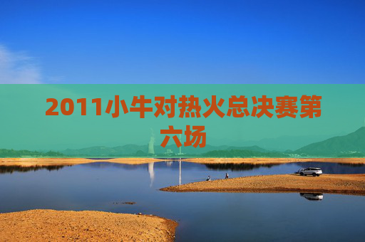 2011小牛对热火总决赛第六场