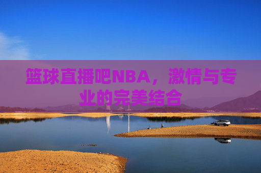 篮球直播吧NBA，激情与专业的完美结合