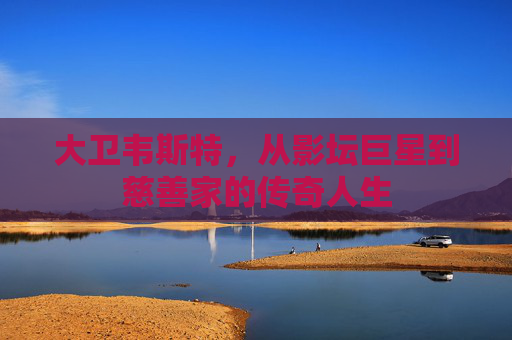 大卫韦斯特，从影坛巨星到慈善家的传奇人生