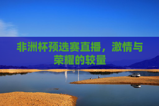 非洲杯预选赛直播，激情与荣耀的较量