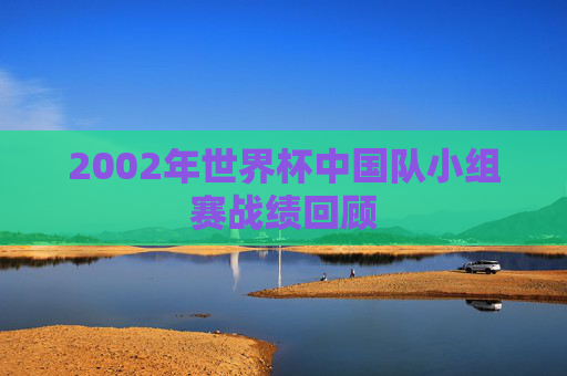 2002年世界杯中国队小组赛战绩回顾