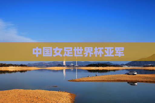 中国女足世界杯亚军
