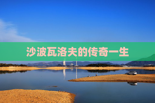 沙波瓦洛夫的传奇一生