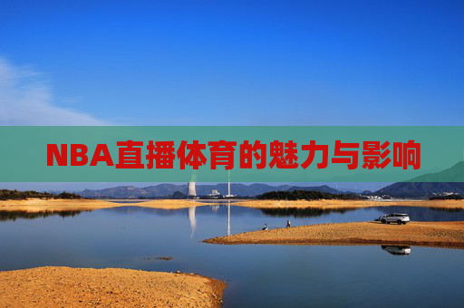 NBA直播体育的魅力与影响