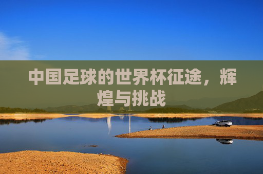 中国足球的世界杯征途，辉煌与挑战