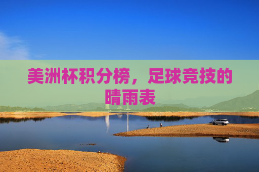 美洲杯积分榜，足球竞技的晴雨表