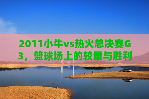 2011小牛vs热火总决赛G3，篮球场上的较量与胜利