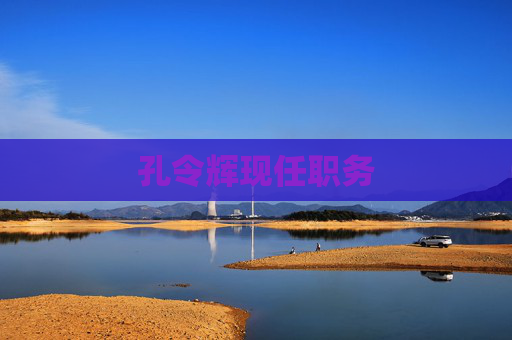 孔令辉现任职务