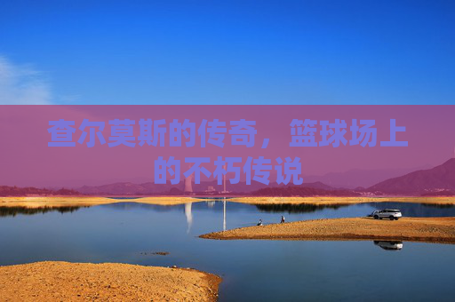 查尔莫斯的传奇，篮球场上的不朽传说