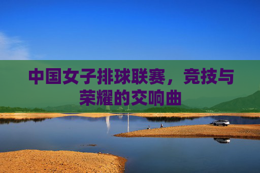 中国女子排球联赛，竞技与荣耀的交响曲