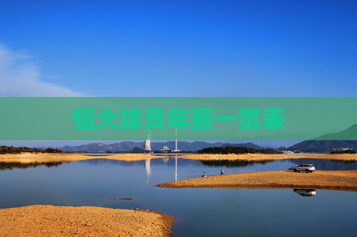 恒大球员年薪一览表
