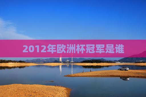 2012年欧洲杯冠军是谁