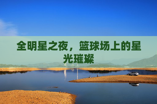 全明星之夜，篮球场上的星光璀璨