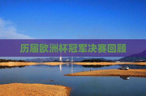 历届欧洲杯冠军决赛回顾
