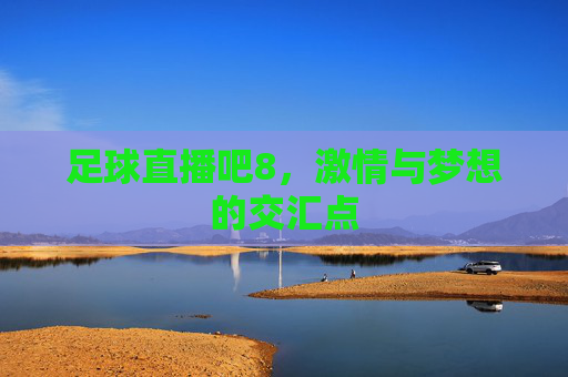 足球直播吧8，激情与梦想的交汇点
