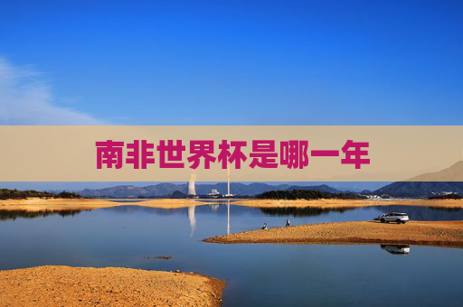 南非世界杯是哪一年