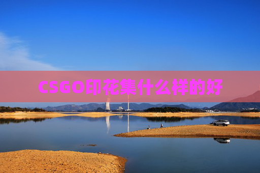 CSGO印花集什么样的好