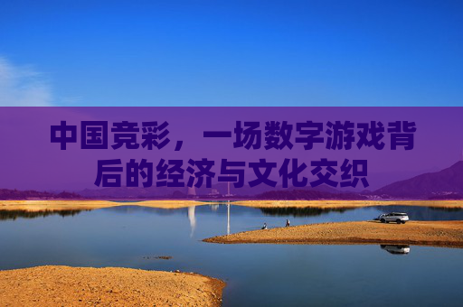 中国竞彩，一场数字游戏背后的经济与文化交织