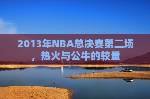2013年NBA总决赛第二场，热火与公牛的较量