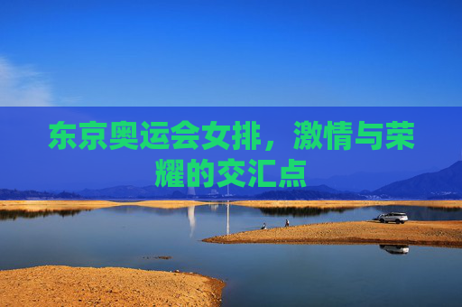 东京奥运会女排，激情与荣耀的交汇点
