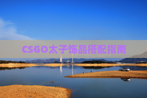 CSGO太子饰品搭配指南
