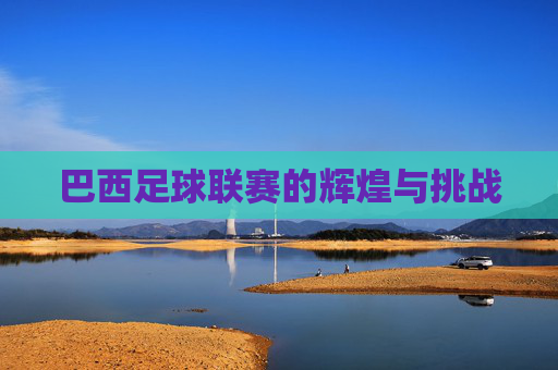 巴西足球联赛的辉煌与挑战