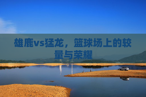 雄鹿vs猛龙，篮球场上的较量与荣耀