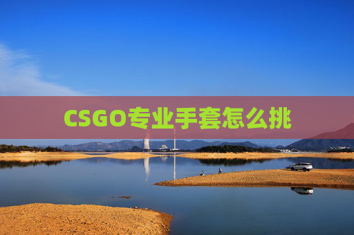CSGO专业手套怎么挑