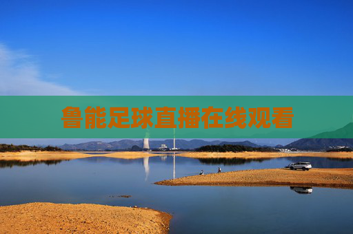 鲁能足球直播在线观看