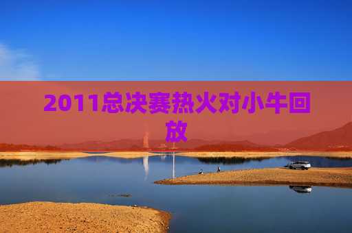 2011总决赛热火对小牛回放