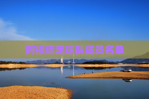 阿根廷足球队成员名单