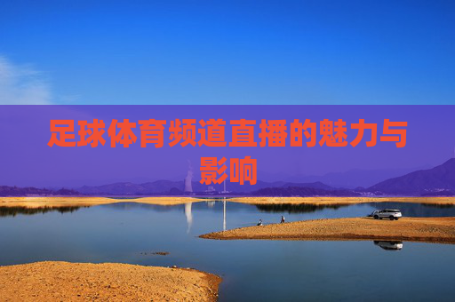 足球体育频道直播的魅力与影响