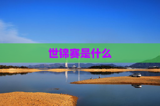 世锦赛是什么