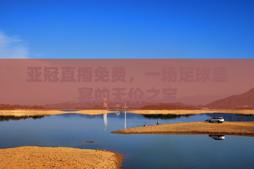亚冠直播免费，一场足球盛宴的无价之宝