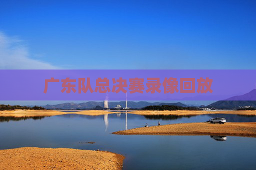 广东队总决赛录像回放