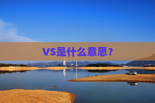 VS是什么意思？