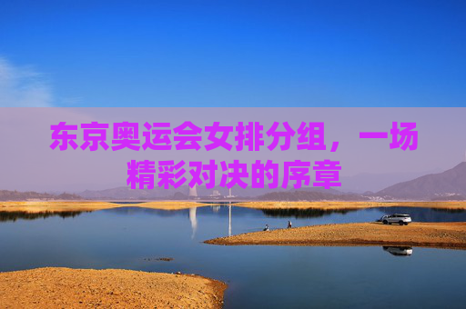 东京奥运会女排分组，一场精彩对决的序章