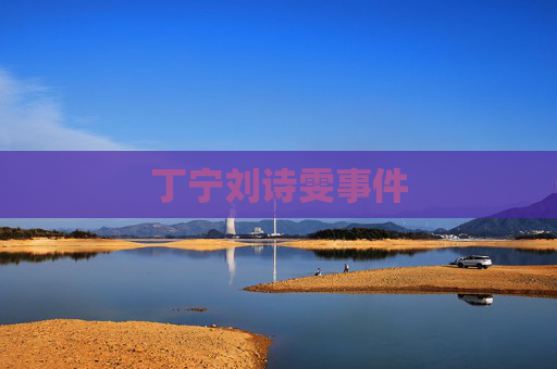丁宁刘诗雯事件
