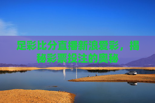 足彩比分直播新浪爱彩，揭秘彩票投注的奥秘
